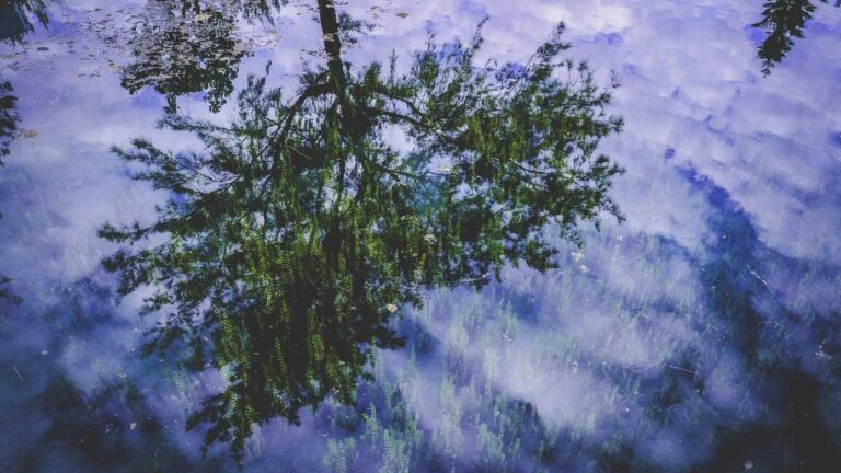 What Should Users Do When 99Exch Payment Failed Appears?